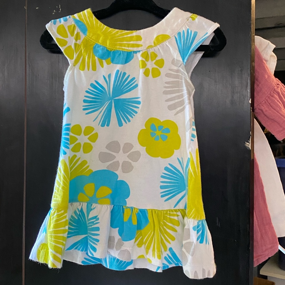 Carter’s Dress